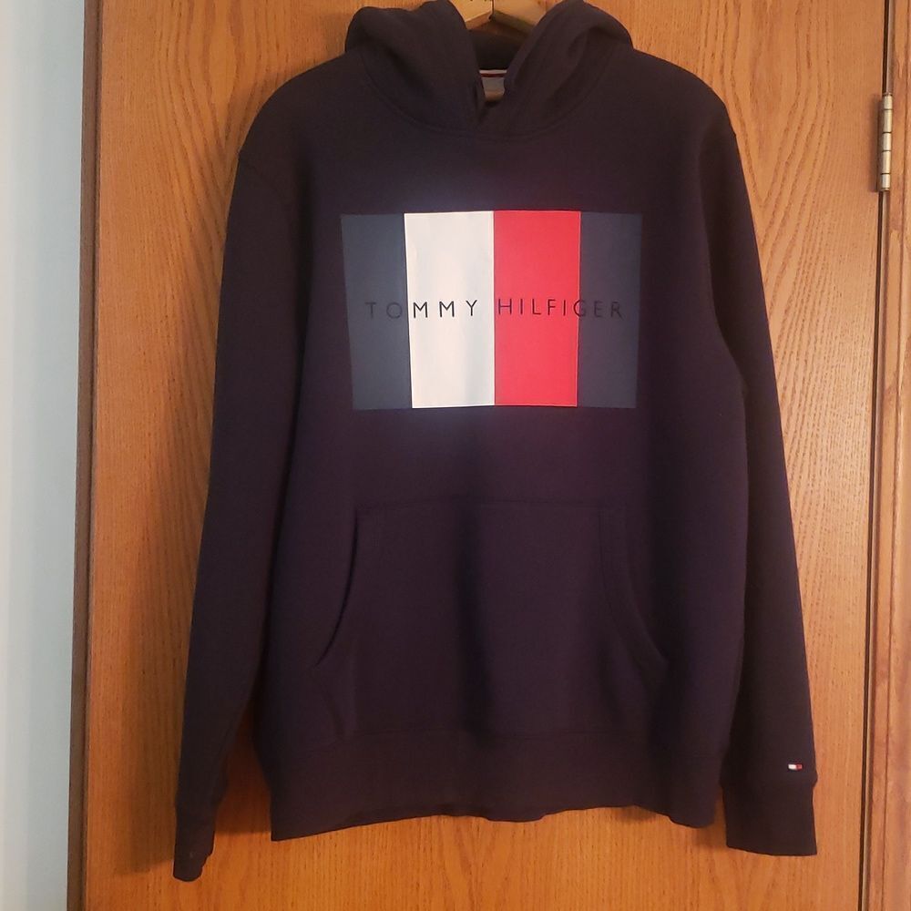 NWOT Tommy Hilfiger Soft Blue Hoodie with Color Block Logo Sz L